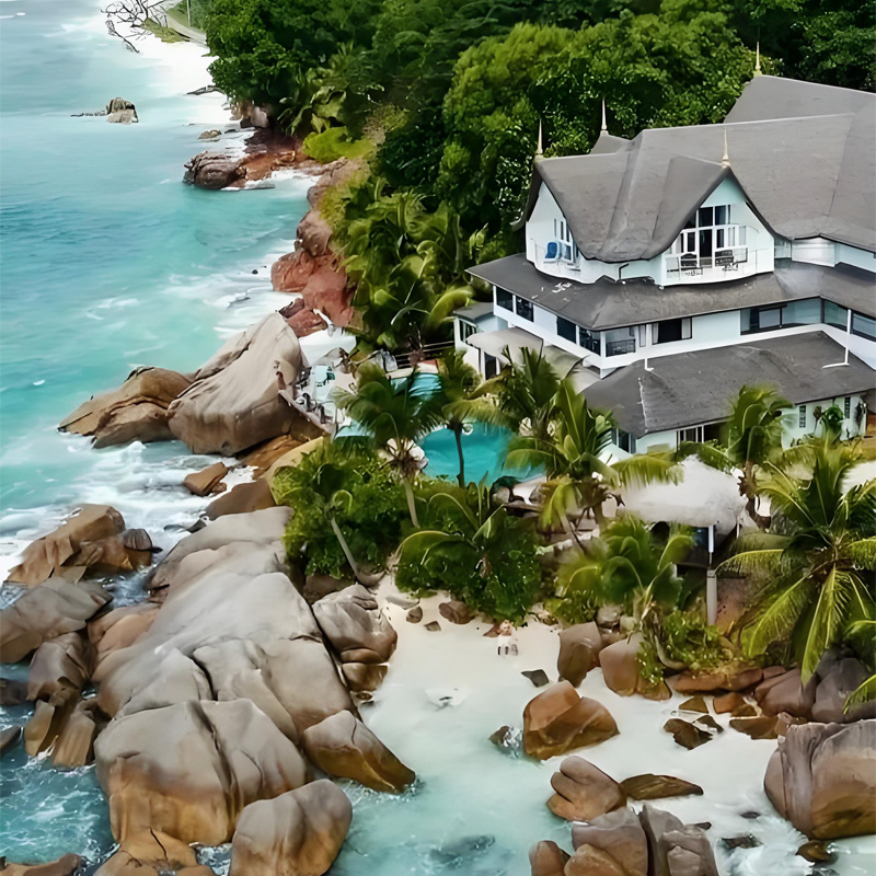 画板 1 拷贝 7.jpg