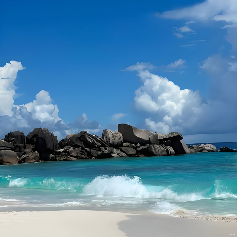 画板 1 拷贝 6.jpg