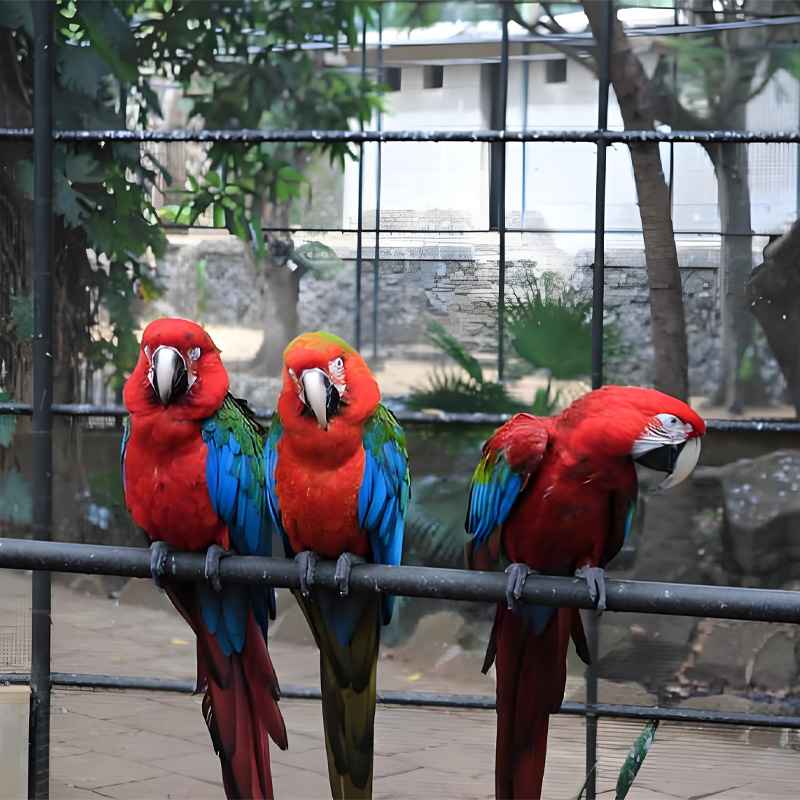 画板 1 拷贝 5-1.jpg