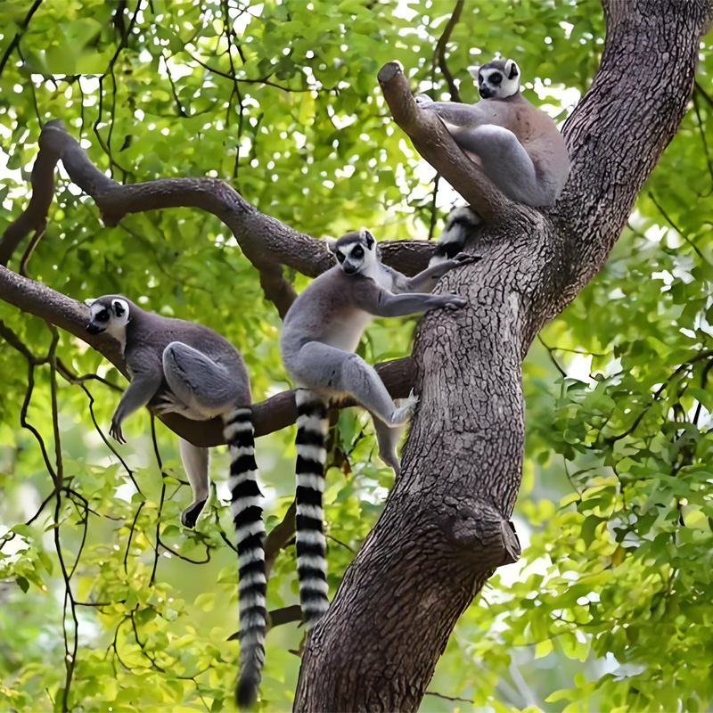 画板 1 拷贝 3.jpg