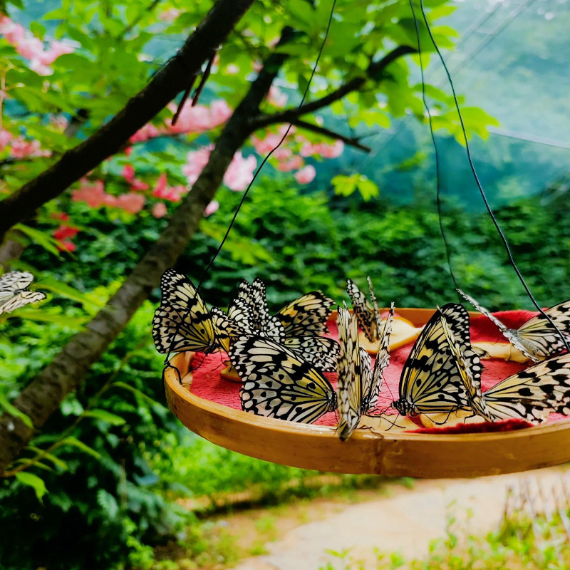 画板 1 拷贝 2-1.jpg