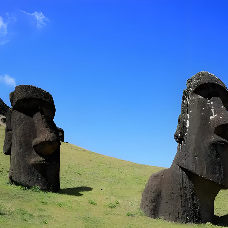 画板 1 拷贝 10.jpg 画板 1 拷贝 10.jpg