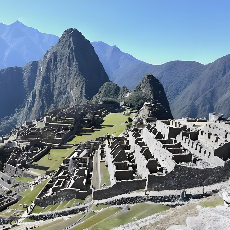 画板 1 拷贝 7-1.jpg 画板 1 拷贝 7-1.jpg