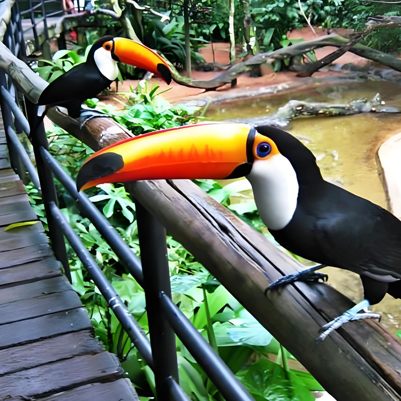 画板 1 拷贝 4-1.jpg 画板 1 拷贝 4-1.jpg