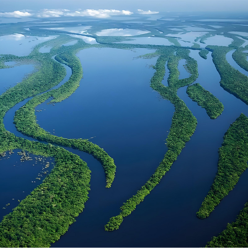 画板 1 拷贝 3.jpg 画板 1 拷贝 3.jpg