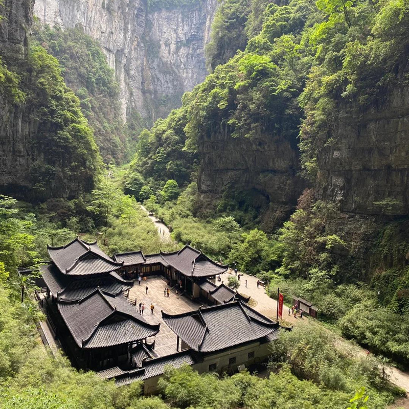 画板 1 拷贝 5-1.jpg 画板 1 拷贝 5-1.jpg