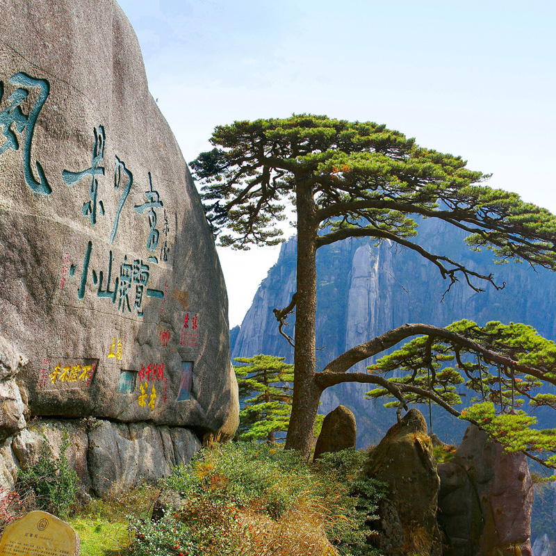 画板 1 拷贝 2.jpg 画板 1 拷贝 2.jpg