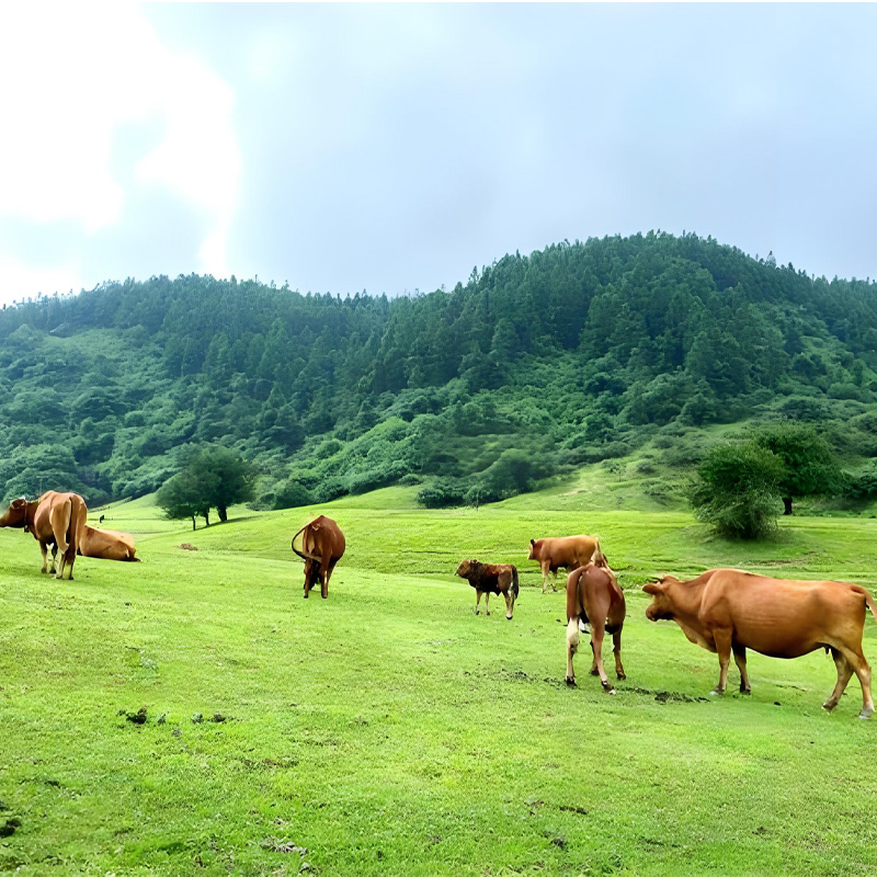 画板 1 拷贝 2-1.jpg 画板 1 拷贝 2-1.jpg