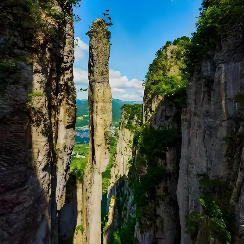 画板 1 拷贝 3.jpg 画板 1 拷贝 3.jpg