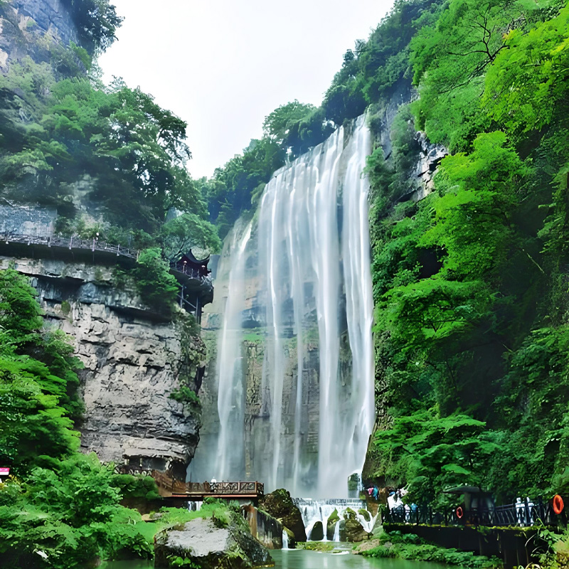 画板 1 拷贝 3-1.jpg 画板 1 拷贝 3-1.jpg