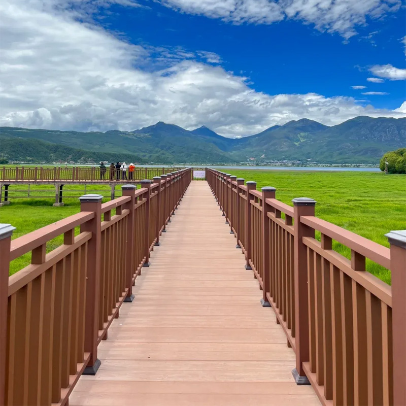 画板 1 拷贝.jpg 画板 1 拷贝.jpg