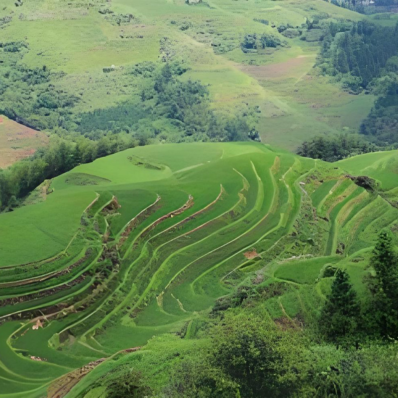 画板 1 拷贝 2.jpg 画板 1 拷贝 2.jpg