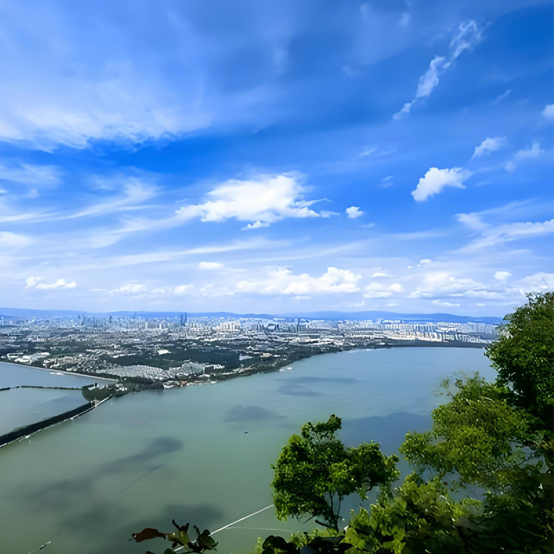 画板 1 拷贝 2.jpg 画板 1 拷贝 2.jpg