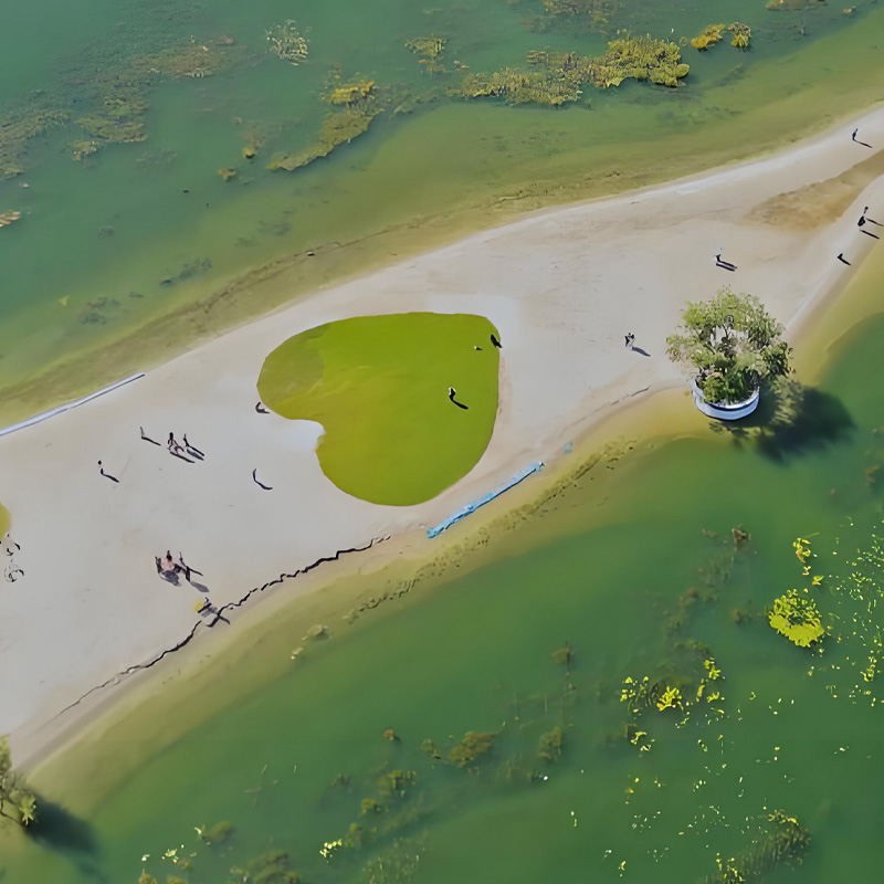 画板 1 拷贝 2.jpg 画板 1 拷贝 2.jpg