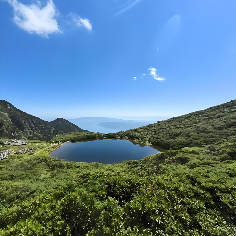 画板 1.jpg 画板 1.jpg