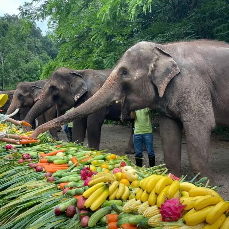 画板 1 拷贝.jpg 画板 1 拷贝.jpg