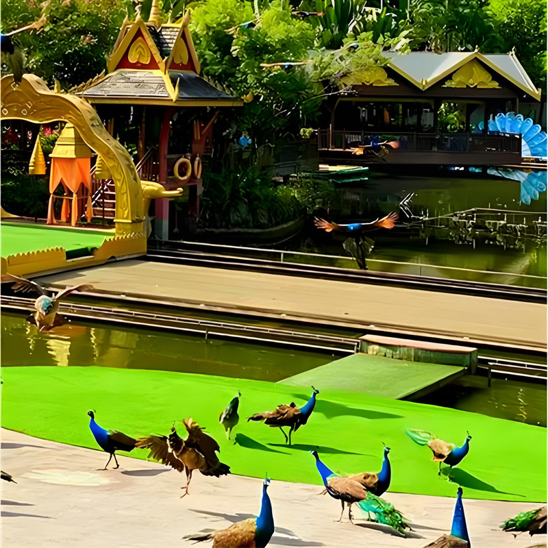 画板 1 拷贝 2.jpg 画板 1 拷贝 2.jpg