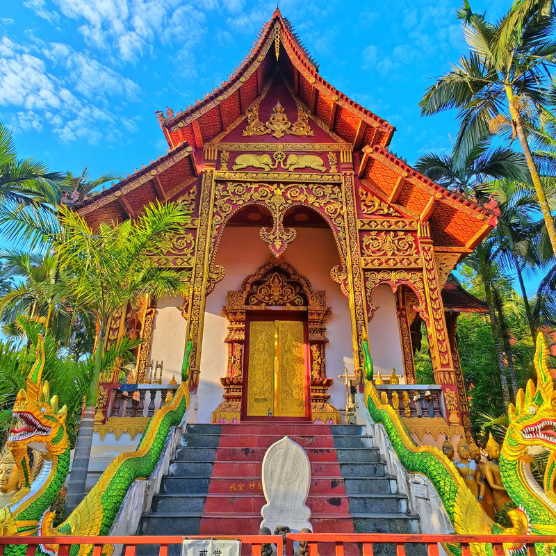 画板 1.jpg 画板 1.jpg