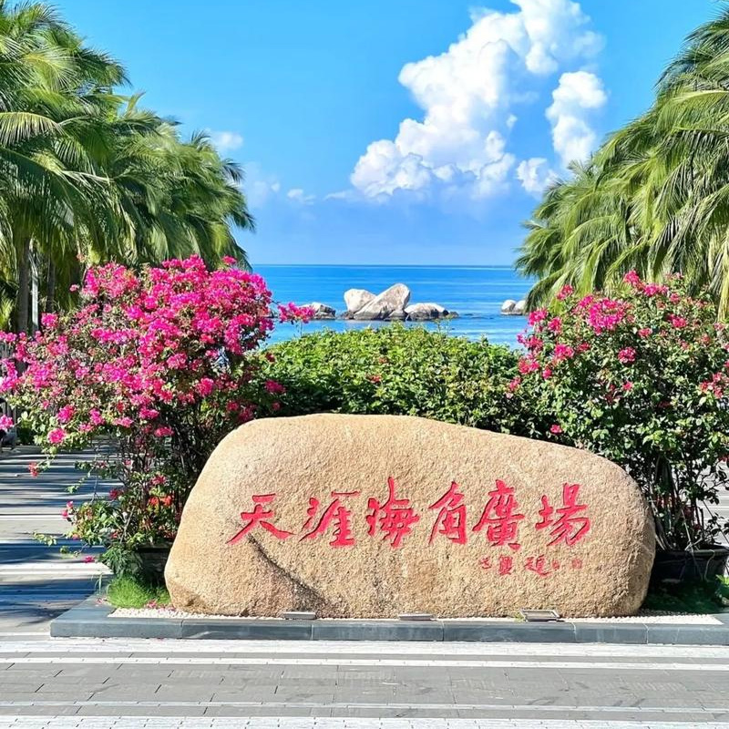 画板 1 拷贝 3.jpg