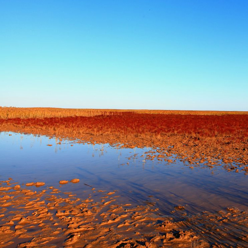 画板 1 拷贝 2-1.jpg 画板 1 拷贝 2-1.jpg