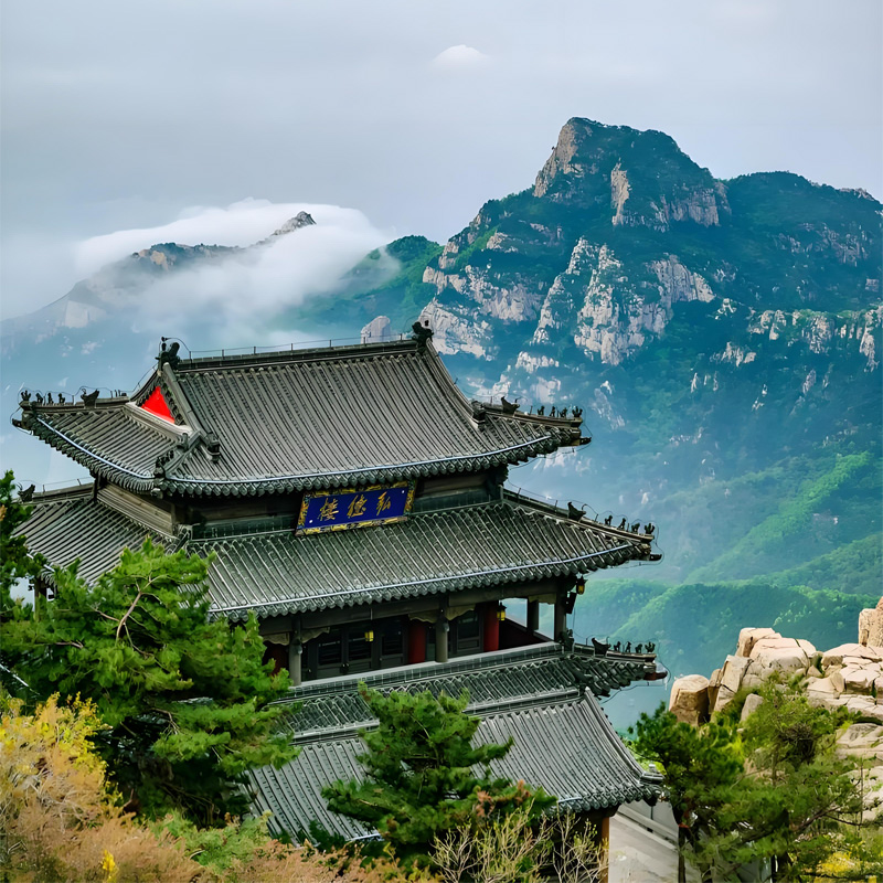 画板 1 拷贝 6.jpg 画板 1 拷贝 6.jpg