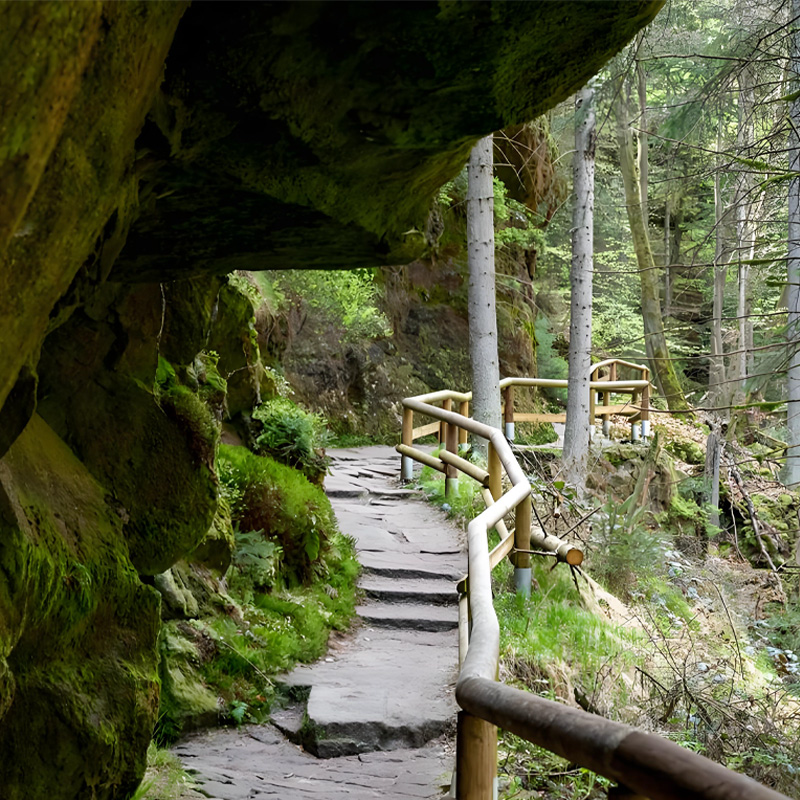 画板 1 拷贝.jpg 画板 1 拷贝.jpg