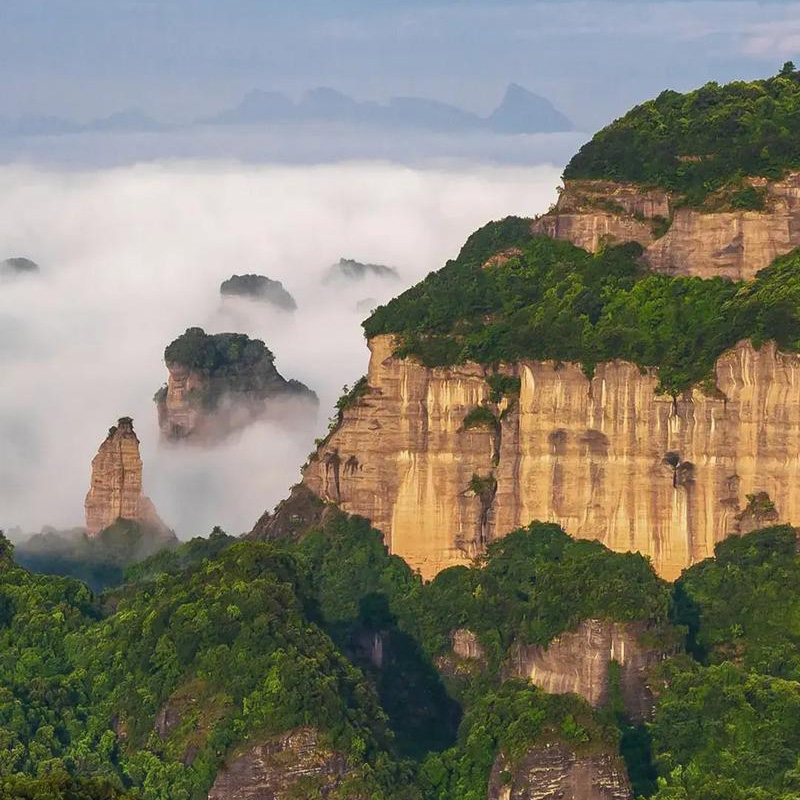 画板 1 拷贝 5-2.jpg 画板 1 拷贝 5-2.jpg