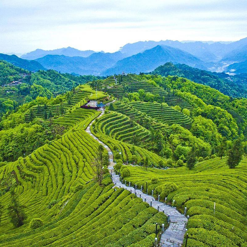 画板 1 拷贝 6.jpg 画板 1 拷贝 6.jpg