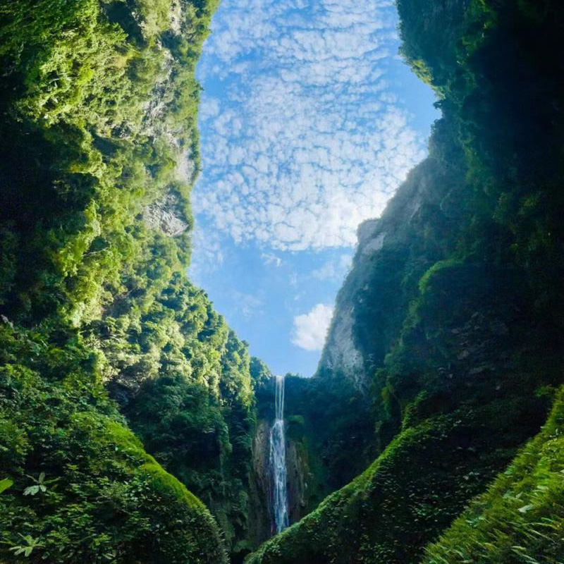 画板 1 拷贝 4-1.jpg 画板 1 拷贝 4-1.jpg