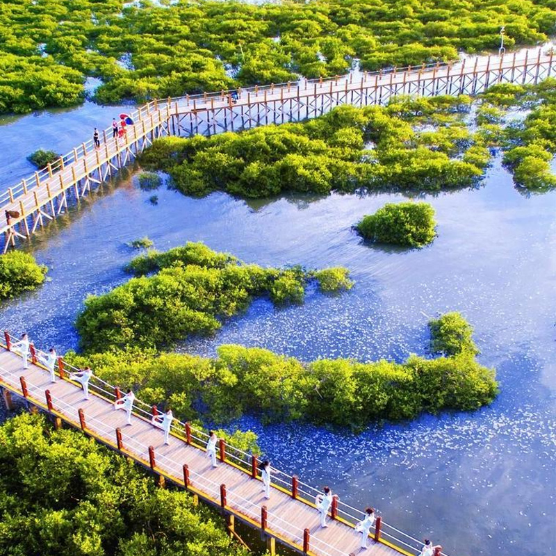 画板 1 拷贝 5-1.jpg 画板 1 拷贝 5-1.jpg