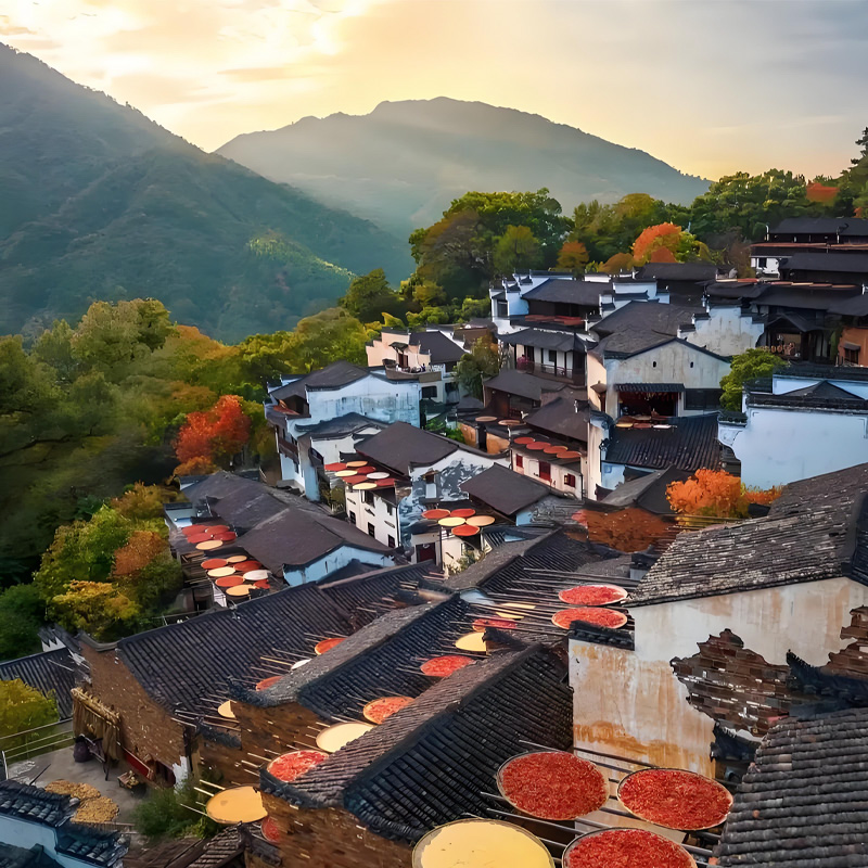 画板 1 拷贝 4.jpg 画板 1 拷贝 4.jpg