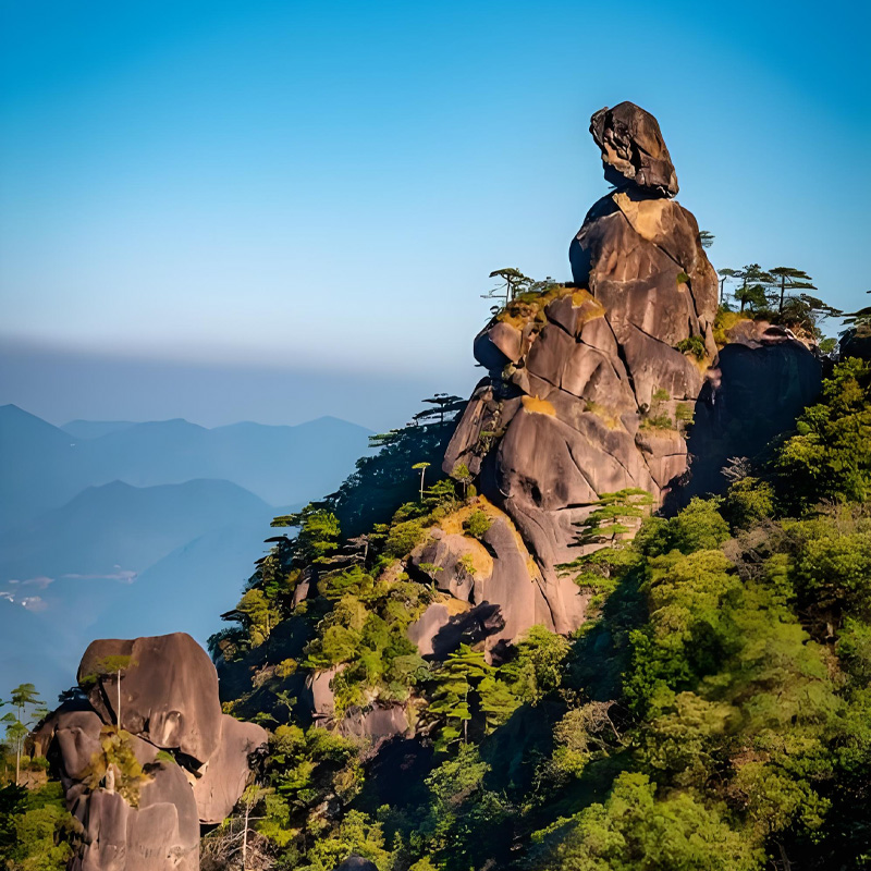 画板 1 拷贝 4-1.jpg 画板 1 拷贝 4-1.jpg