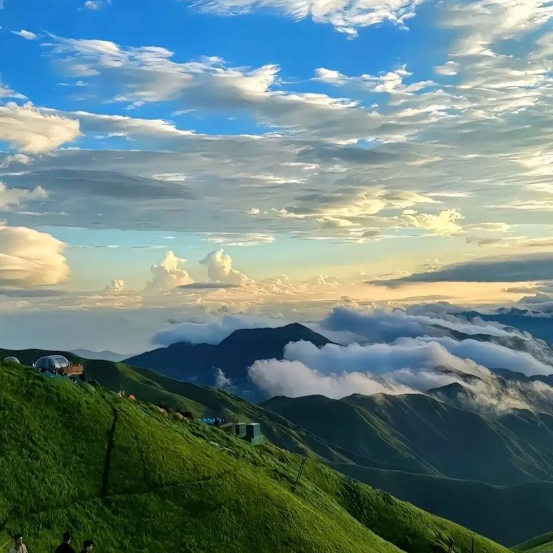 画板 1 拷贝 6.jpg 画板 1 拷贝 6.jpg