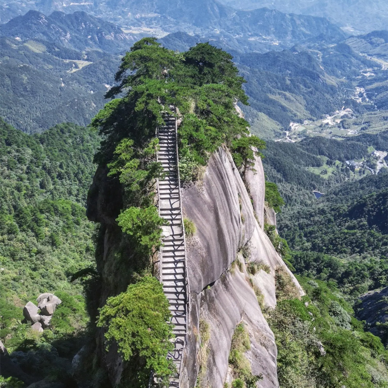 画板 1 拷贝 7.jpg 画板 1 拷贝 7.jpg