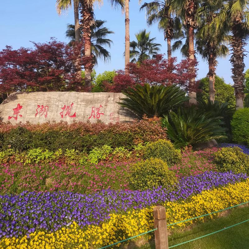 画板 1 拷贝 2-1.jpg 画板 1 拷贝 2-1.jpg