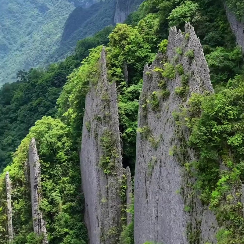 画板 1 拷贝 4-1.jpg 画板 1 拷贝 4-1.jpg