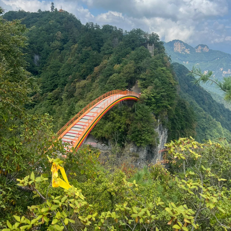 画板 1 拷贝 4-2.jpg 画板 1 拷贝 4-2.jpg