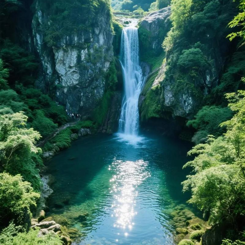 画板 1 拷贝 5-1.jpg 画板 1 拷贝 5-1.jpg