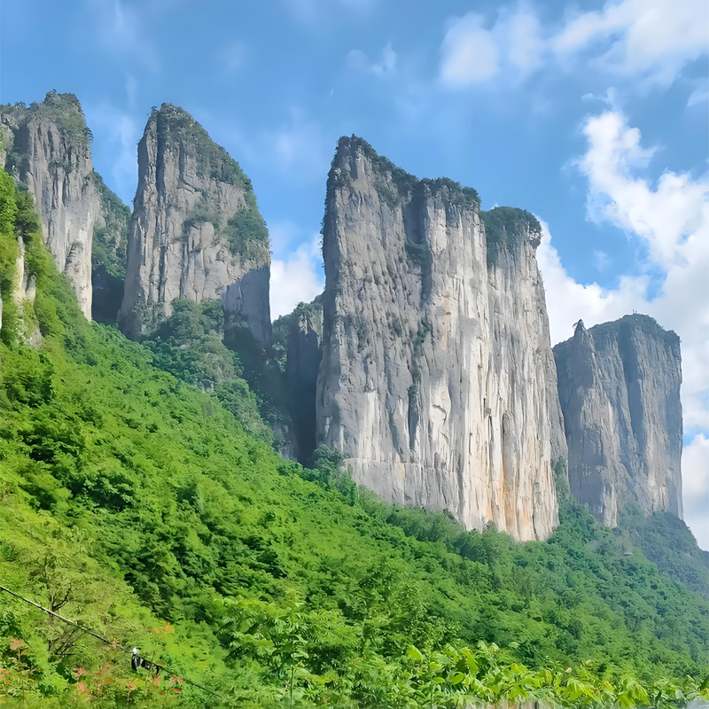 画板 1 拷贝 5-3.jpg 画板 1 拷贝 5-3.jpg