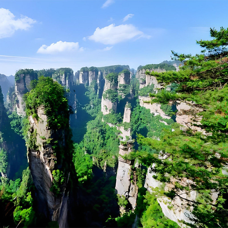 画板 1 拷贝 5-2.jpg 画板 1 拷贝 5-2.jpg