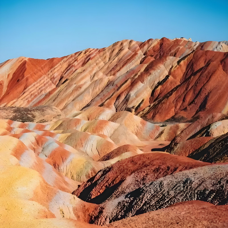 画板 1 拷贝 4.jpg 画板 1 拷贝 4.jpg