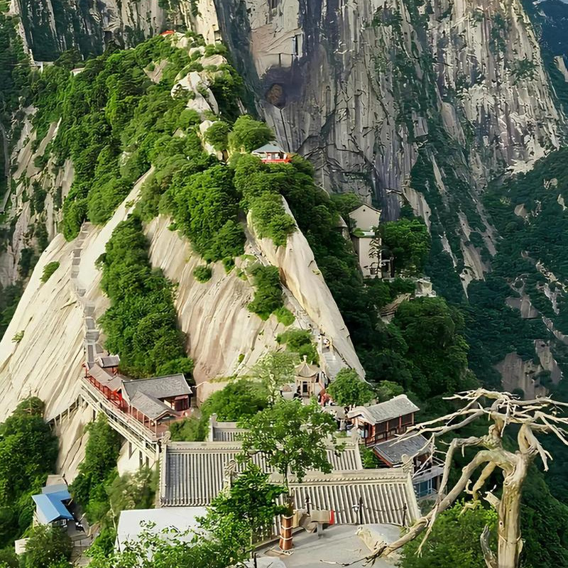 画板 1 拷贝 4-1.jpg 画板 1 拷贝 4-1.jpg