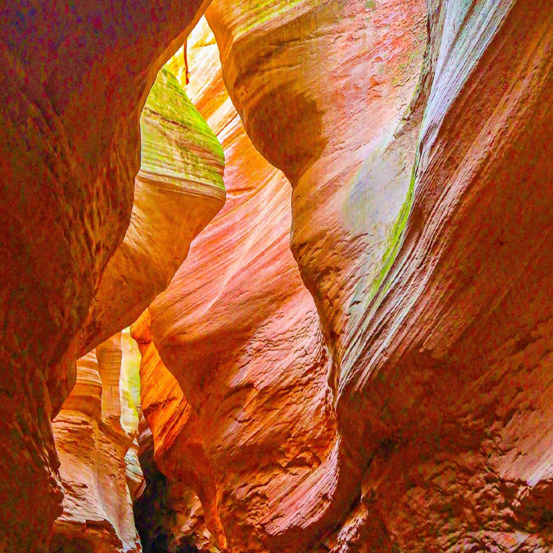 画板 1 拷贝 4-2.jpg 画板 1 拷贝 4-2.jpg