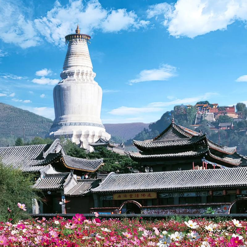 画板 1 拷贝 7.jpg 画板 1 拷贝 7.jpg