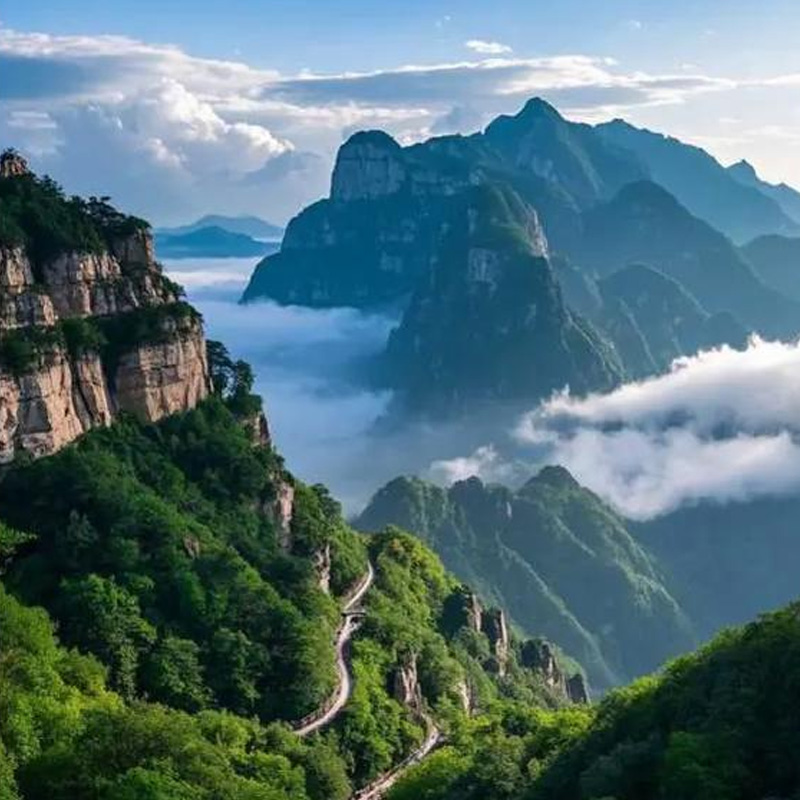 画板 1 拷贝 8-2.jpg 画板 1 拷贝 8-2.jpg