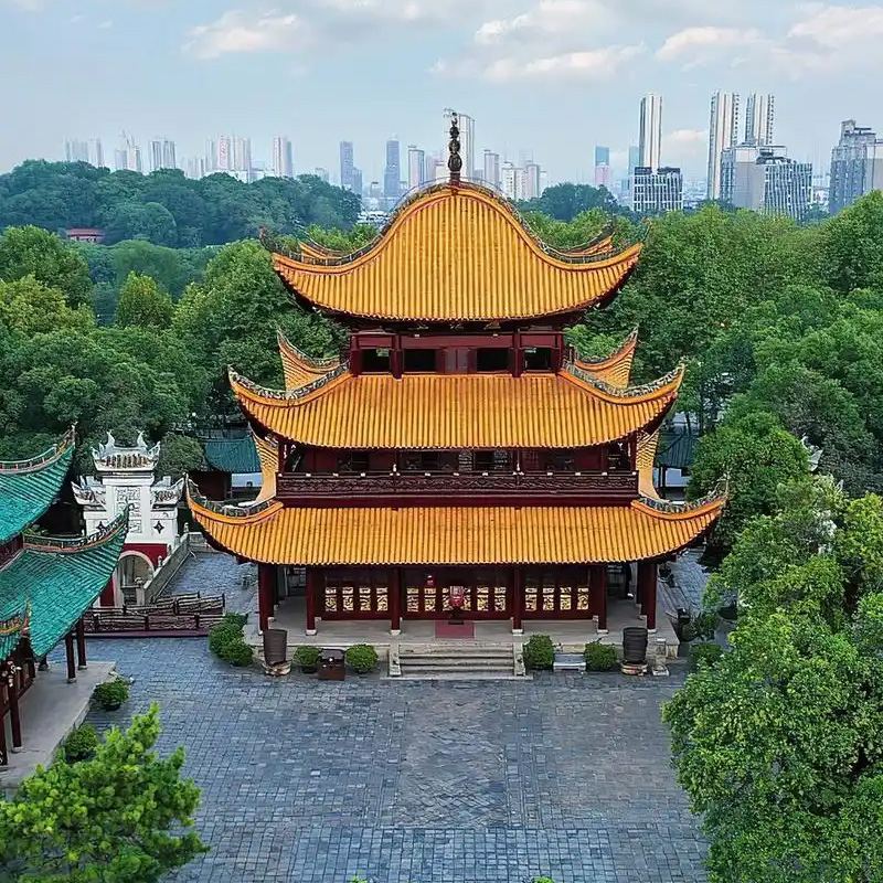 画板 1 拷贝 8-1.jpg 画板 1 拷贝 8-1.jpg