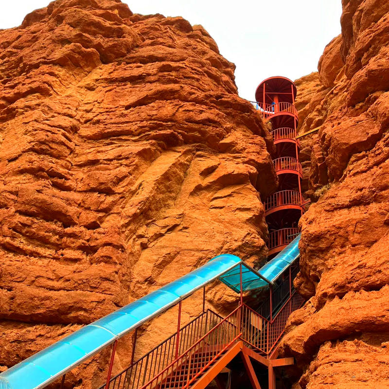 画板 1 拷贝 2-1.jpg