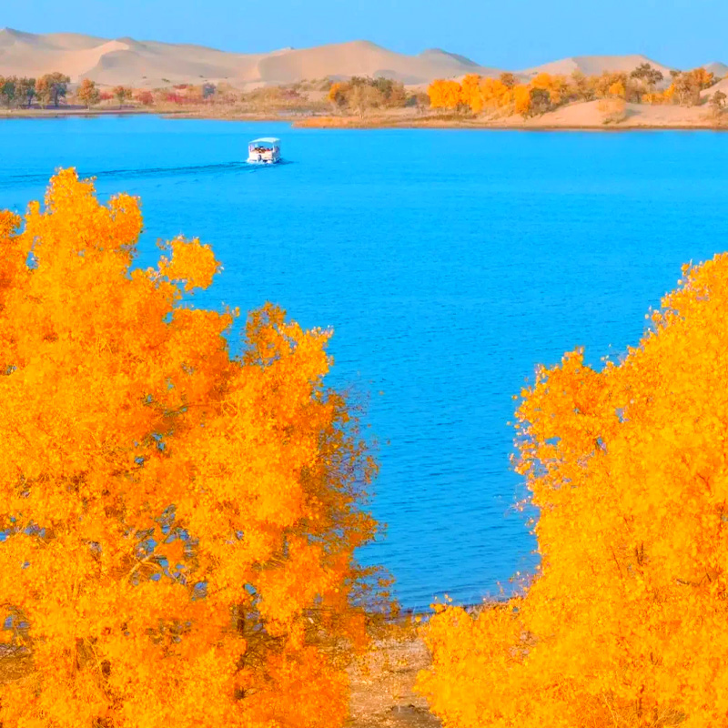 画板 1 拷贝 3.jpg