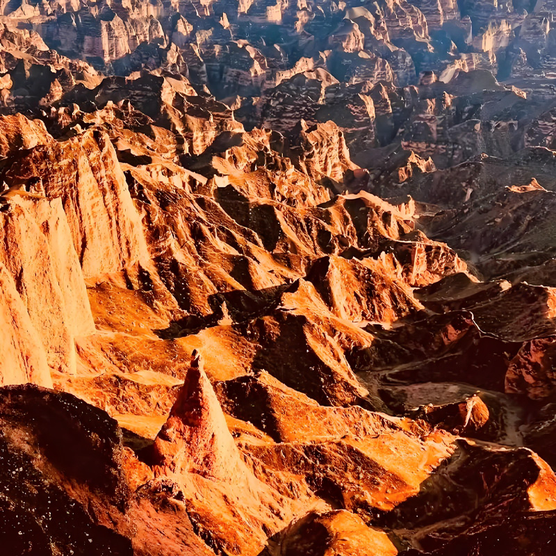 画板 1 拷贝 5.jpg