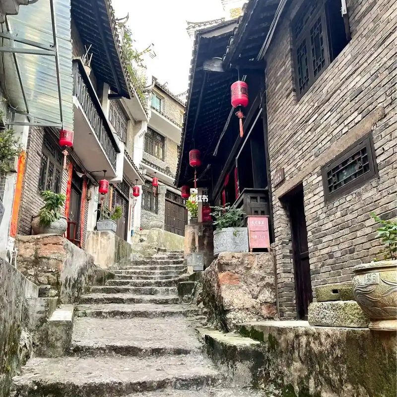 画板 1 拷贝 4-1.jpg 画板 1 拷贝 4-1.jpg